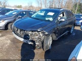 LEXUS RX 450H JTJBC1BA0A2409128 photo