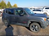 JEEP RENEGADE TRAILHAWK 4X4 photo