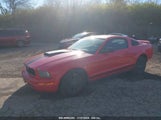 FORD MUSTANG V6 DELUXE/V6 PREMIUM 1ZVFT80N355****** fotografie