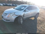 CADILLAC SRX STANDARD 3GYFNAE32ES653170 снимка