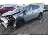 TOYOTA RAV4 LE 2T3ZFREV2JW****** снимка