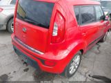 KIA SOUL + photo