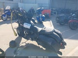INDIAN MOTORCYCLE CO. CHIEFTAIN DARK HORSE 56KTCDBB1L3****** снимка