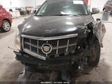 CADILLAC SRX PERFORMANCE COLLECTION 3GYFNEEY9BS533994 снимка
