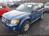 FORD ESCAPE XLT 1FMCU93G19K****** снимка