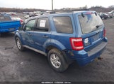 FORD ESCAPE XLT 1FMCU93G19K****** fotografie