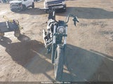 HARLEY-DAVIDSON FXBB 1HD1YJJ17LB069916 снимка