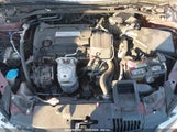 HONDA ACCORD EX-L 1HGCR2F8XEA242907 снимка