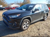TOYOTA RAV4 XLE 2T3W1RFV1KW****** снимка