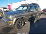 JEEP LIBERTY RENEGADE 1J4GL38K33W****** снимка