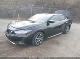 NISSAN MAXIMA SL XTRONIC CVT 1N4AA6DV0LC****** снимка