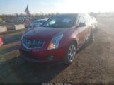 CADILLAC SRX PREMIUM COLLECTION 3GYFNFEY5AS****** photo
