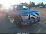 Ford F-150 Fx4/King Ranch/Lariat/Platinum/Xl/Xlt 1FTPW14V99FB36730 снимка