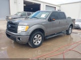 FORD F-150 FX2 SPORT/XL/XLT 1FTEW1C8XAK****** photo