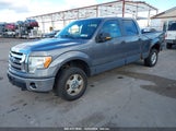 FORD F-150 FX4/KING RANCH/LARIAT/PLATINUM/XL/XLT 1FTPW14V09F****** снимка