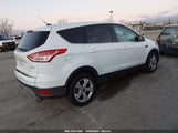 Ford Escape Se 1FMCU0GX9FUA38148 снимка