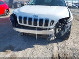 JEEP CHEROKEE LIMITED FWD 1C4PJLDN5KD119452 fotografie