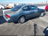 NISSAN MAXIMA GLE/GXE/SE JN1CA21D4VT****** снимка