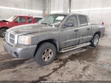 DODGE DAKOTA SLT 1D7HE48K67S****** fotografie