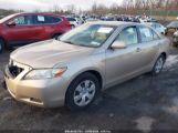 TOYOTA CAMRY LE photo