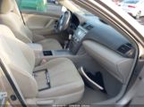 TOYOTA CAMRY LE photo