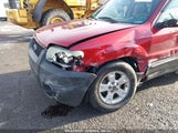 FORD ESCAPE XLT 1FMYU93175KD62432 снимка