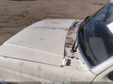 FORD F150 1FTCF15N9HN****** снимка