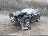 TOYOTA RAV4 XLE 2T3RFREVXEW****** fotografie