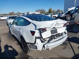 TESLA MODEL 3 REAR-WHEEL DRIVE 5YJ3E1EA3PF486823 снимка