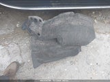 HONDA ACCORD LX 1HGCV1F11JA256634 photo