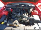 FORD MUSTANG V6 PREMIUM 1ZVBP8AMXD5****** снимка