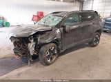 JEEP COMPASS TRAILHAWK 4X4 3C4NJDDB8JT441546 снимка