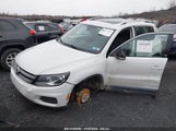 VOLKSWAGEN TIGUAN 2.0T WOLFSBURG EDITION WVGSV7AXXHK003630 fotografie