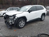 TOYOTA RAV4 LE 2T3H1RFV9KC****** fotografie