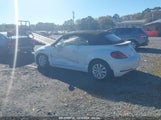 VOLKSWAGEN BEETLE #PINKBEETLE/1.8T CLASSIC/1.8T S/1.8T SE/1.8T SEL 3VW517AT0HM****** fotografie