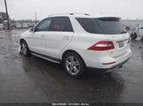 MERCEDES-BENZ ML 350 4MATIC 4JGDA5HB2DA244598 снимка