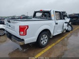 FORD F-150 XLT 1FTEW1C85HKD31538 снимка