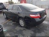 TOYOTA CAMRY XLE V6 4T1BK46K77U051349 fotografie