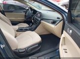 HYUNDAI SONATA 5NPE24AF9HH445488 снимка