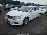 NISSAN ALTIMA 2.5/2.5 S/2.5 SL/2.5 SR/2.5 SV 1N4AL3AP7GC236216 fotografie