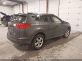 TOYOTA RAV4 XLE JTMRFREV7DD****** fotografie