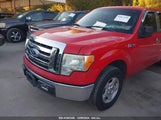FORD F-150 FX2 SPORT/XL/XLT 1FTEW1C81AF****** снимка