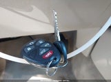 Miniaturka zdjęcia 11