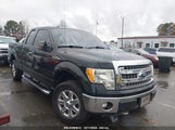 FORD F-150 XLT 1FTFX1EF9EFA08353 снимка