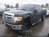 FORD F-150 XLT 1FTFX1EF9EFA08353 снимка