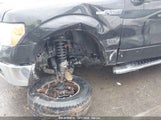 FORD F-150 XLT 1FTFX1EF9EFA08353 снимка