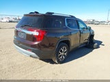 GMC ACADIA FWD SLE 1GKKNKLS7MZ133735 fotografie