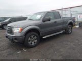 FORD F-150 STX 1FTFX1EF1CF****** fotografie