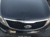 KIA SPORTAGE EX KNDPC3AC5G7****** снимка