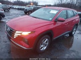 HYUNDAI TUCSON SE 5NMJACAE9PH195488 снимка